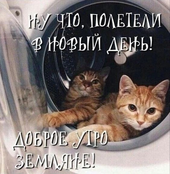 Ну что, полетели в новый день! Доброе утро земляне!