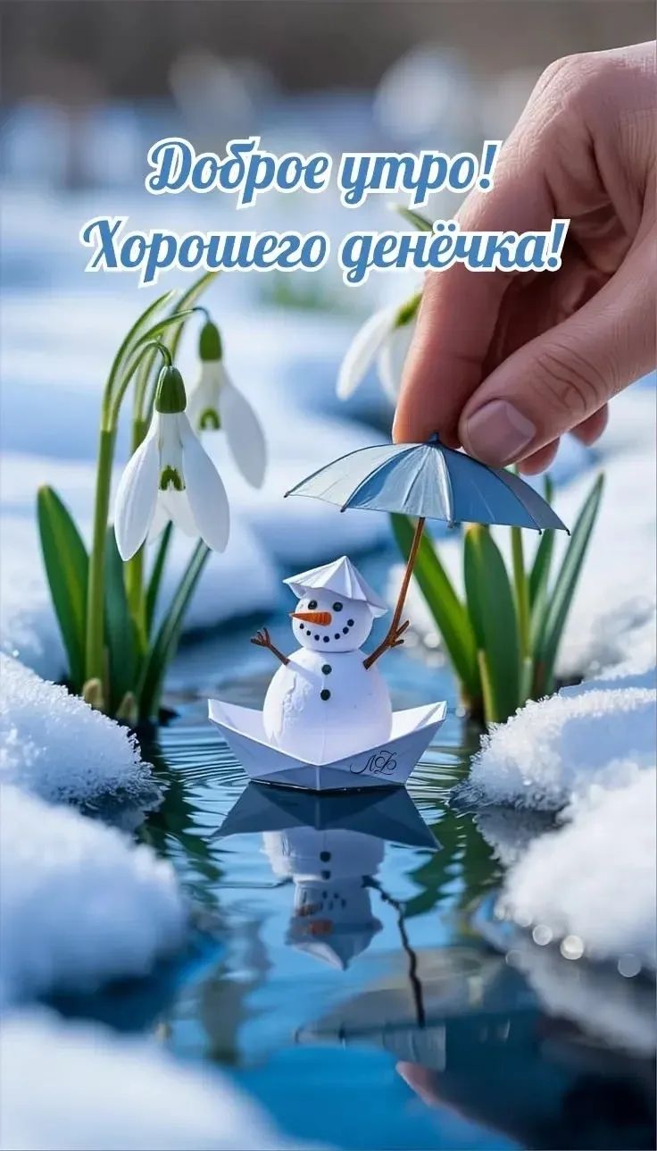 Доброе утро! Хорошего денёчка!