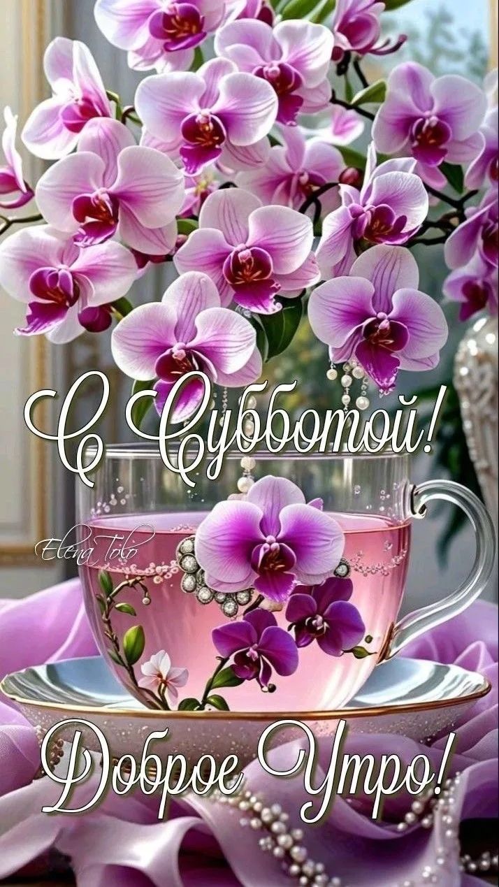 Субботой! Доброе утро!