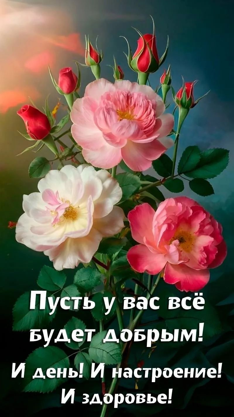 Пусть у вас всё будет добрым! И день! И настроение! И здоровье!