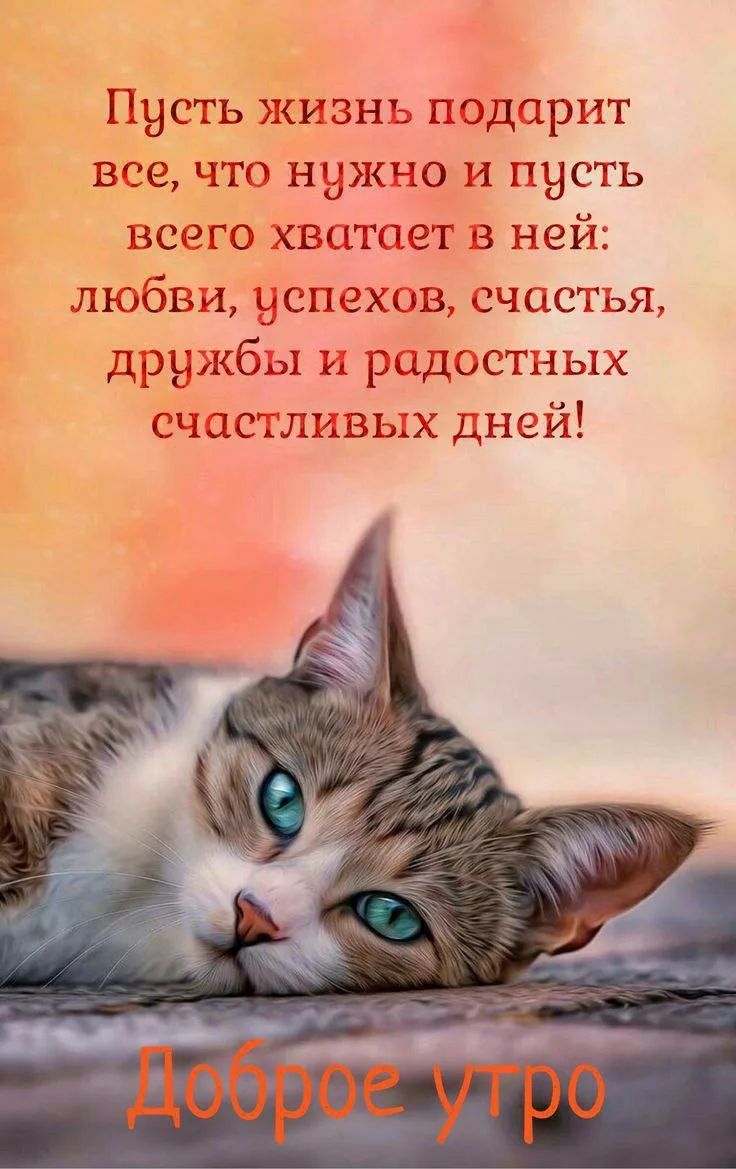 Пусть жизнь подарит все, что нужно и пусть всего хватит в ней: любви, успехов, счастья, дружбы и радостных счастливых дней! Доброе утро