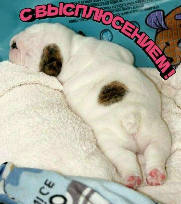 С ВЫСПЛЮСЕНИМ