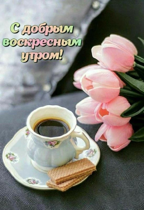 С добрым воскресным утром!