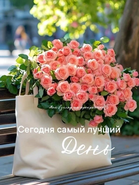 Сегодня самый лучший День