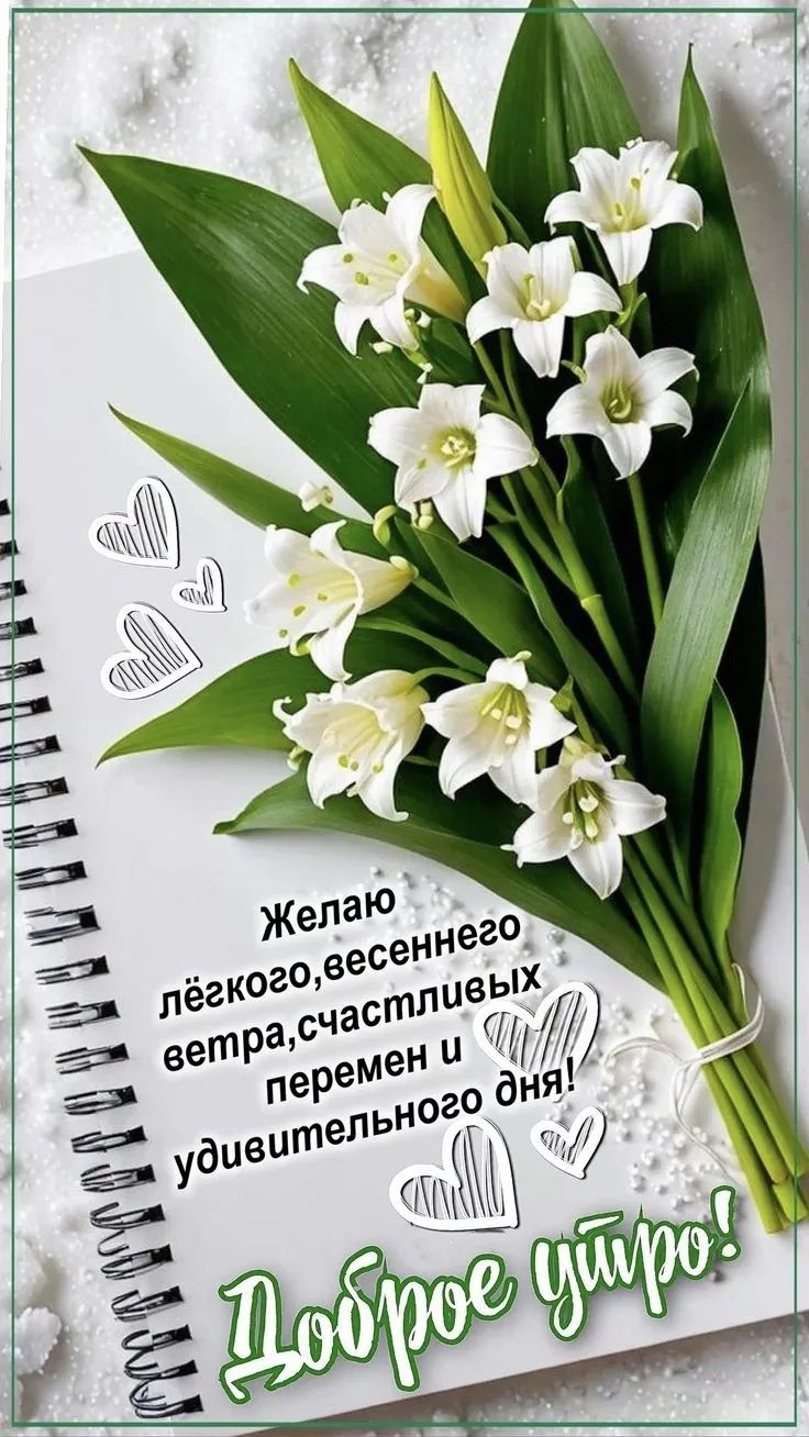 Желаю лёгкого, весеннего ветра, счастливых перемен и удивительного дня! Доброе утро!