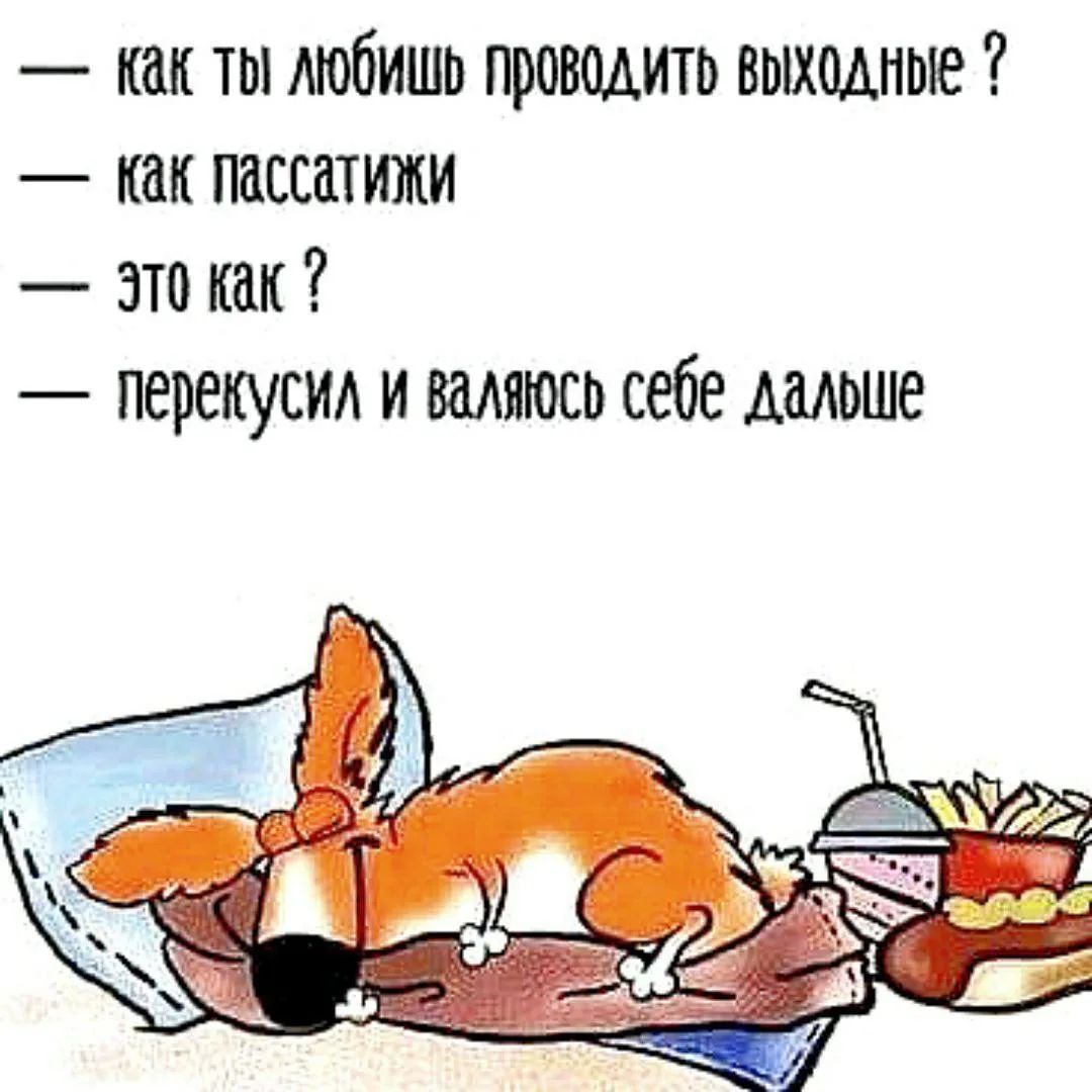 — как ты любишь проводить выходные ?
— как пассажати
— это как ?
— перекусил и валяюсь себе дальше