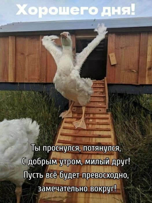 Хорошего дня!\n\nТы проснулся, потянулся,\nС добрым утром, милый друг!\nПусть всё будет превосходно,\nЗамечательно вокруг!