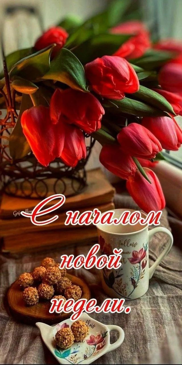 С началом новой недели.