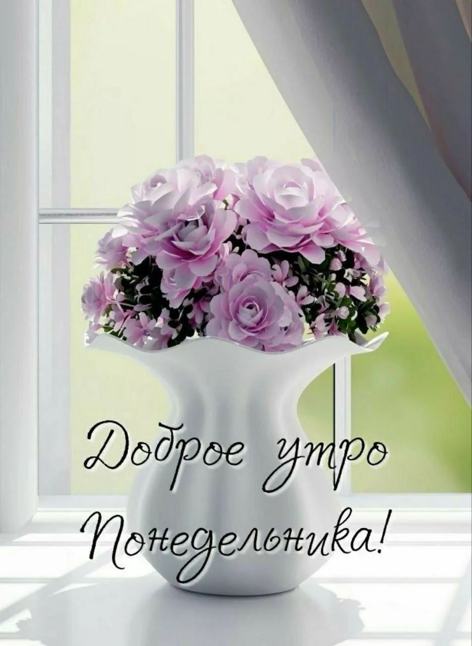 Доброе утро Понедельника!