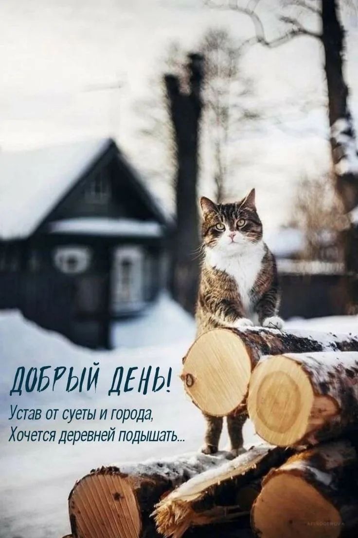 ДОБРЫЙ ДЕНЬ! Устал от суеты и города, хочется деревней подышать...