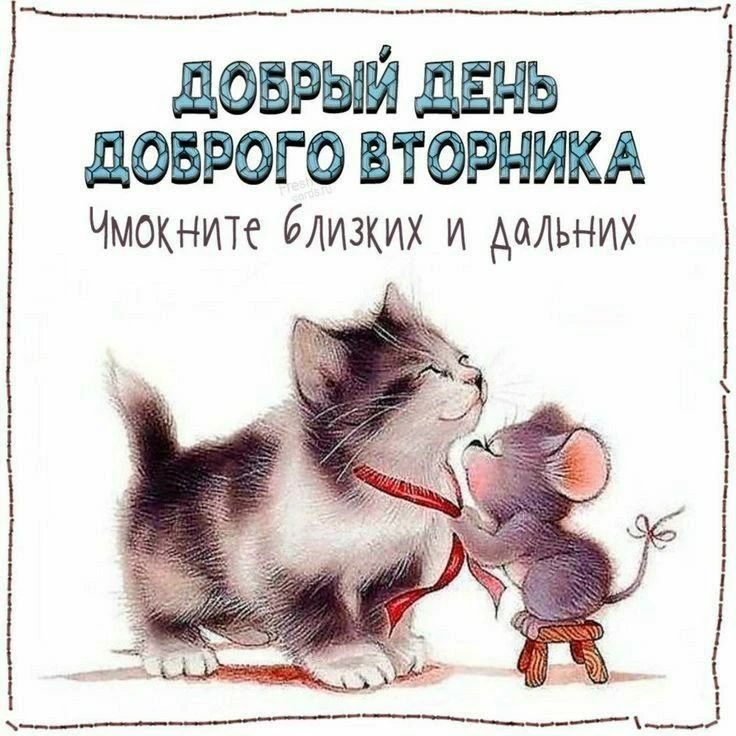 Добрый день доброго вторника\nУмокните близких и дальних