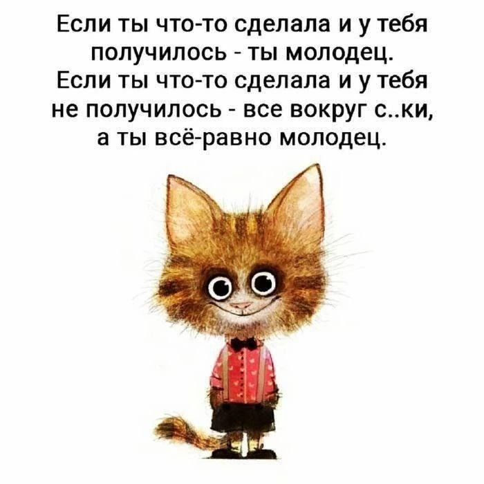 Если ты что-то сделала и у тебя получилось - ты молодец. Если ты что-то сделала и у тебя не получилось - все вокруг с..ки, а ты всё-равно молодец.