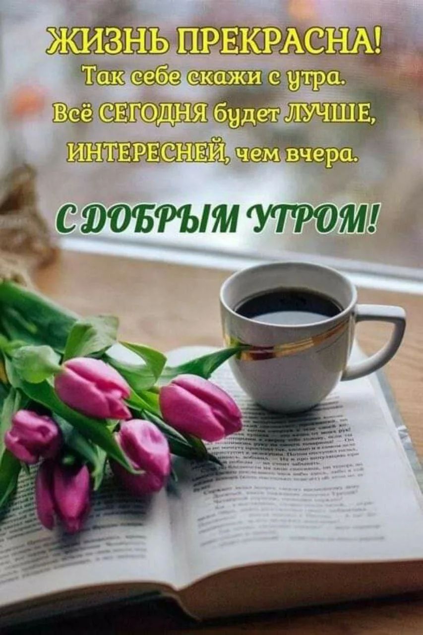 ЖИЗНЬ ПРЕКРАСНА! Так себе скажи с утра. Всё СЕГОДНЯ будет ЛУЧШЕ, ИНТЕРЕСНЕЙ, чем вчера. С ДОБРЫМ УТРОМ!