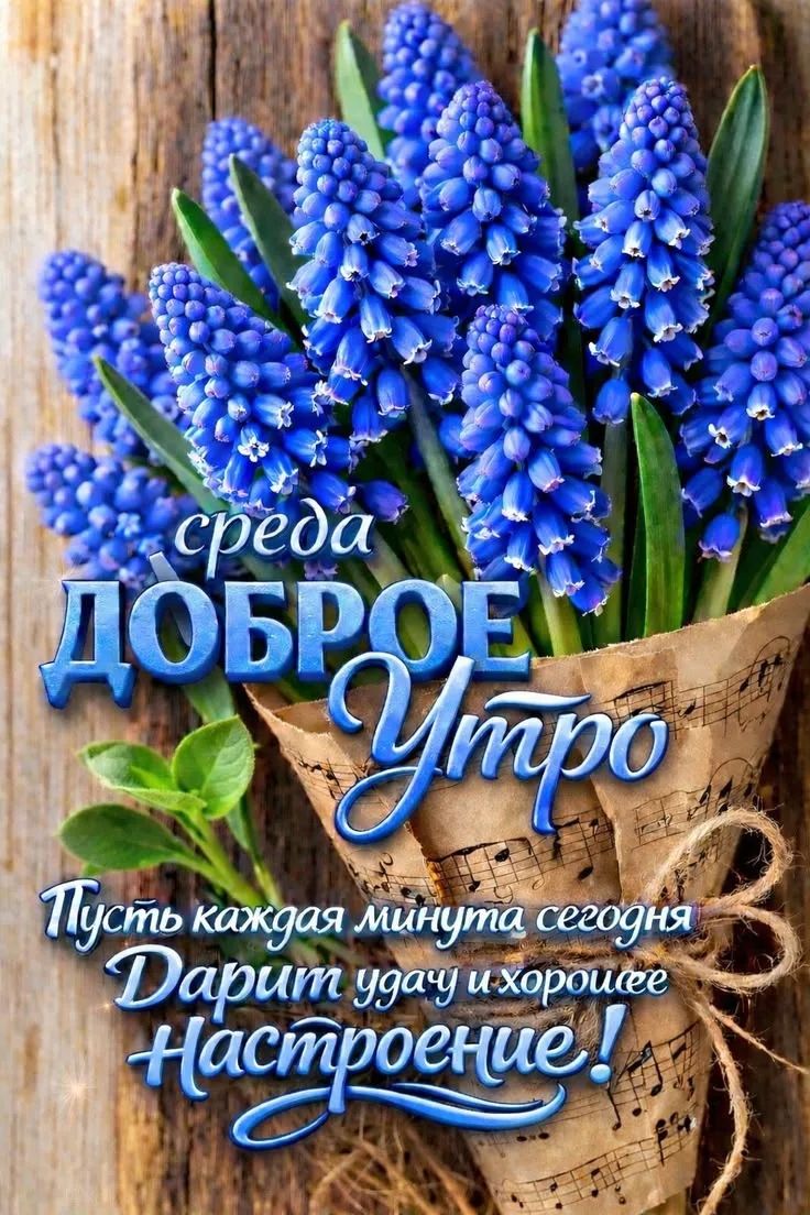среда ДОБРОЕ Утро Пусть каждая минута сегодня Дарит удачу и хорошее Настроение!