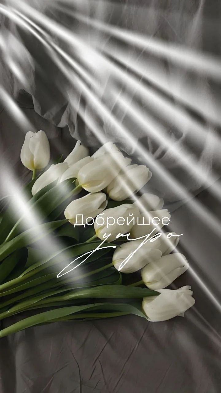 Добрейшее утро