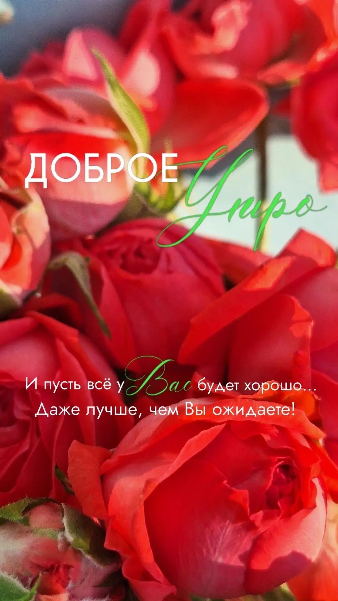 ДОБРОЕ Утро И пусть всё у Вас будет хорошо... Даже лучше, чем Вы ожидаете!