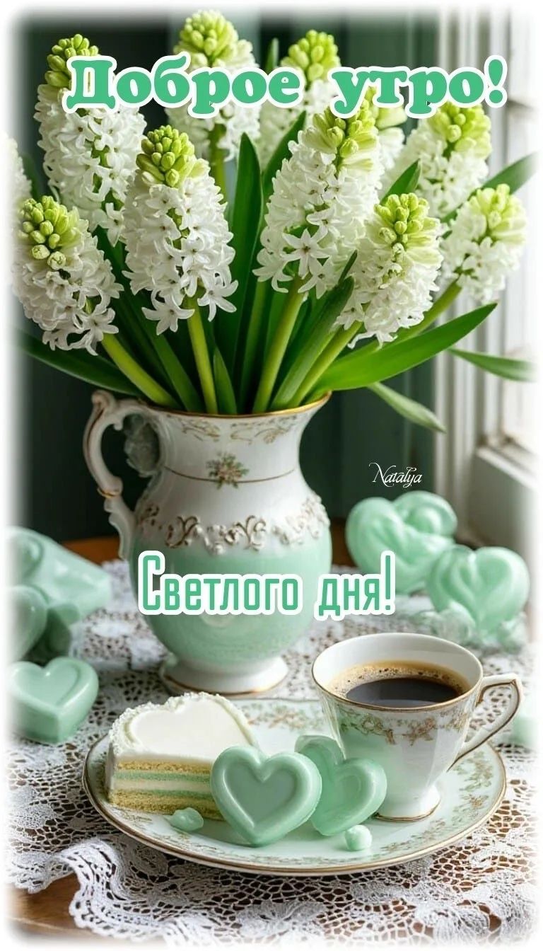 Доброе утро! Светлого дня!