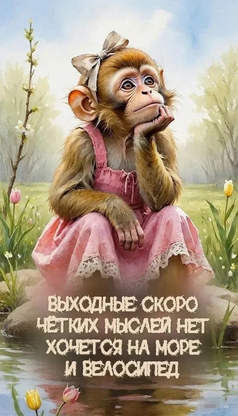 ВЫХОДНЫЕ СКОРО ЧЁТКИХ МЫСЛЕЙ НЕТ ХОЧЕТСЯ НА МОРЕ И ВЕЛОСИПЕД