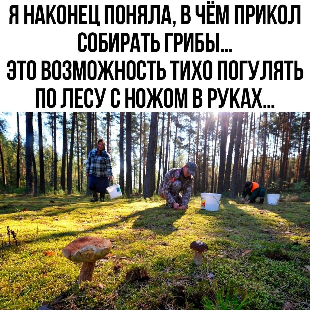 Я НАКОНЕЦ ПОНЯЛА, В ЧЁМ ПРИКОЛ СОБИРАТЬ ГРИБЫ... ЭТО ВОЗМОЖНОСТЬ ТИХО ПОГУЛЯТЬ ПО ЛЕСУ С НОЖОМ В РУКАХ...