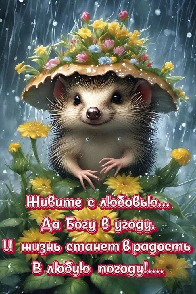 Живите с любовью... Да Богу в угоду. И жизнь станет в радость В любую погоду!...