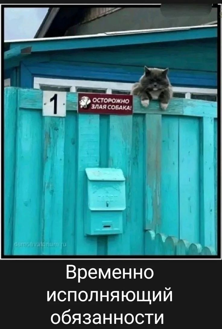 1 ОСТОРОЖНО ЗЛАЯ СОБАКА! Временно исполняющий обязанности