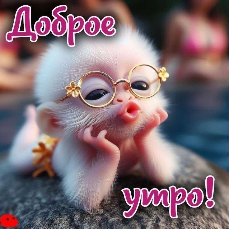 Доброе утро!