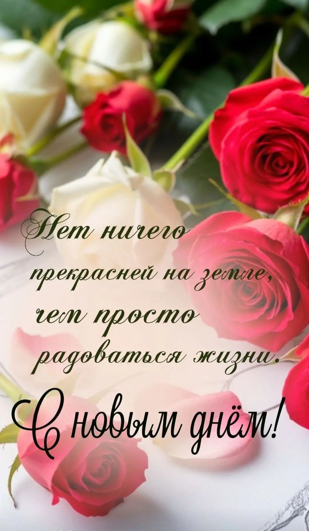 Нет ничего прекрасней на земле, чем просто радоваться жизни. С новым днём!