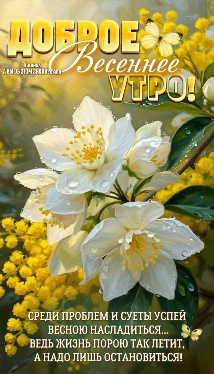 ДОБРОЕ Весеннее УТРО! Тг канал А ВЫ ОБ ЭТОМ ЗНАЛИ? с Ann СРЕДИ ПРОБЛЕМ И СУЕТЫ УСПЕЙ ВЕСНОЮ НАСЛАДИТЬСЯ... ВЕДЬ ЖИЗНЬ ПОРОЮ ТАК ЛЕТИТ, А НАДО ЛИШЬ ОСТАНОВИТЬСЯ!