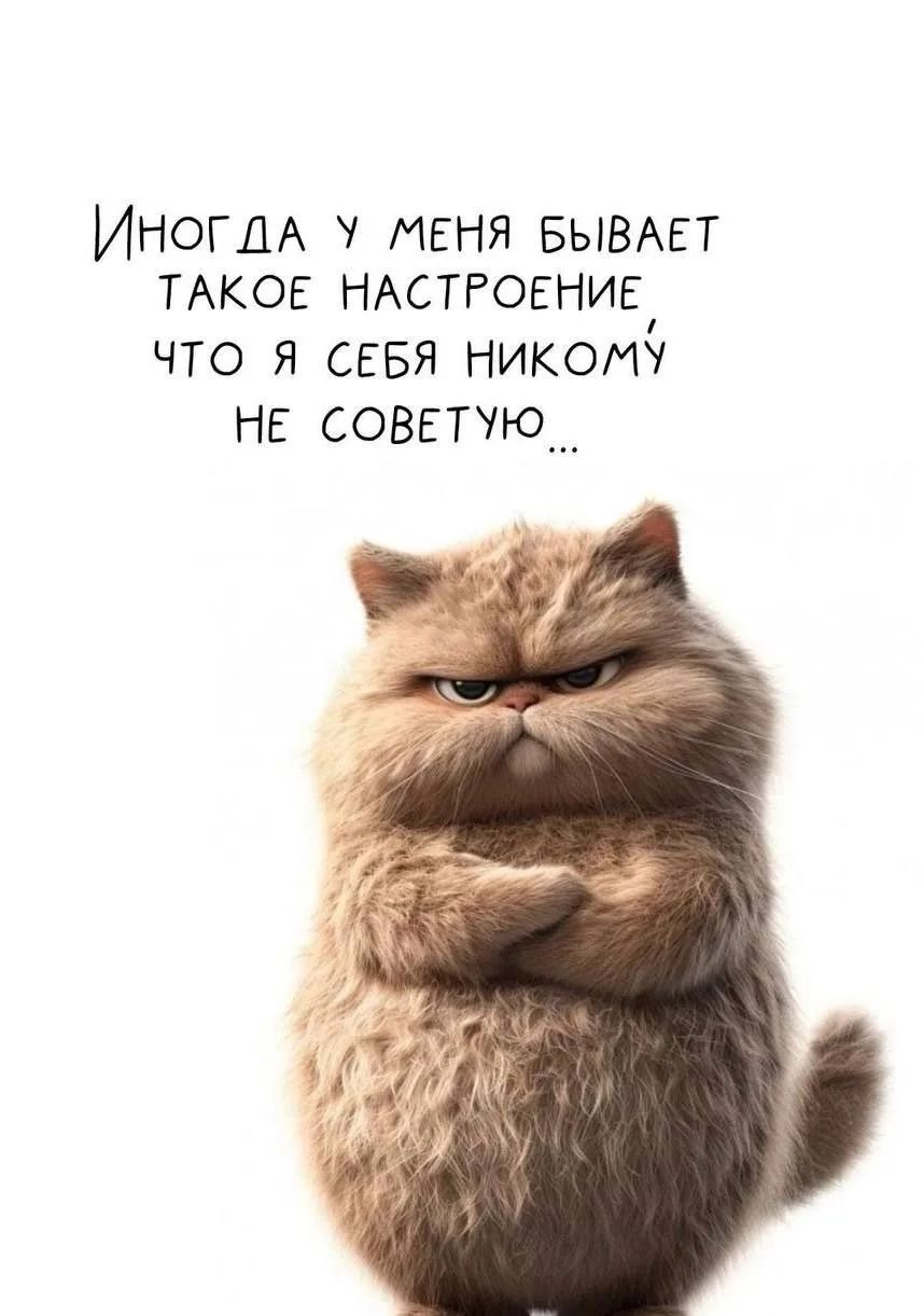 ИНОГДА У МЕНЯ БЫВАЕТ ТАКОЕ НАСТРОЕНИЕ, ЧТО Я СЕБЯ НИКОМУ НЕ СОВЕТУЮ...