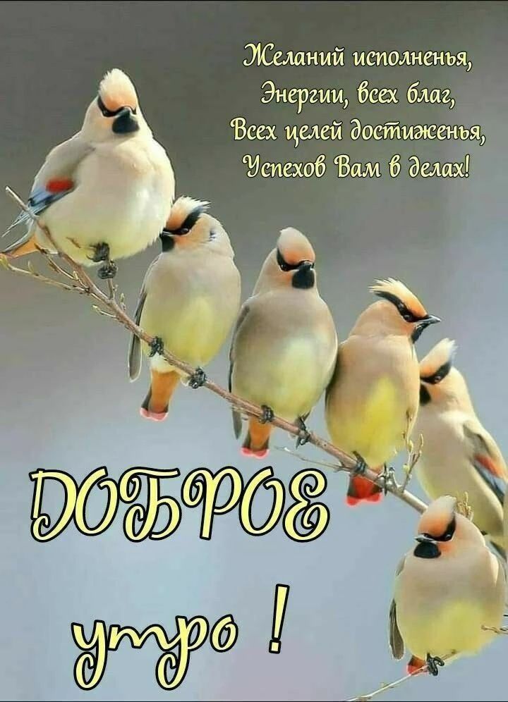 Желаний исполненья, Энергии, всех благ, Всех целей достиженья, Успехов Вам в делах! ДОБРОЕ утро !