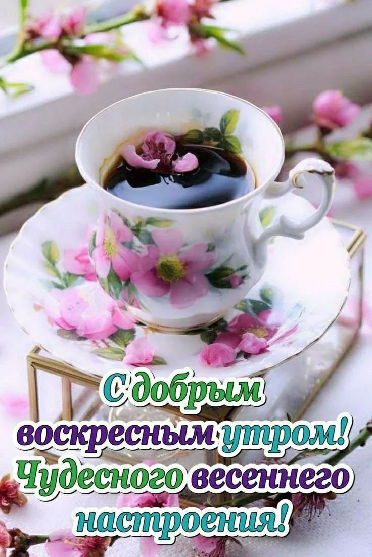 С добрым воскресным утром! Чудесного весеннего настроения!
