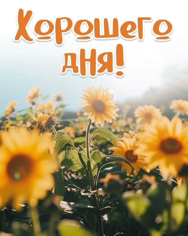 Хорошего дня!