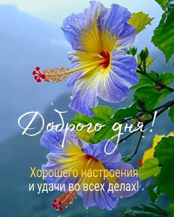 Доброго дня! Хорошего настроения и удачи во всех делах!