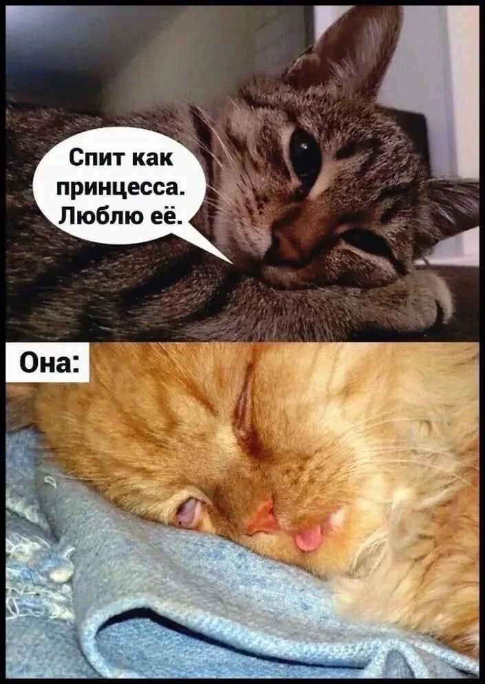 Спит как принцесса. Люблю её. Она: