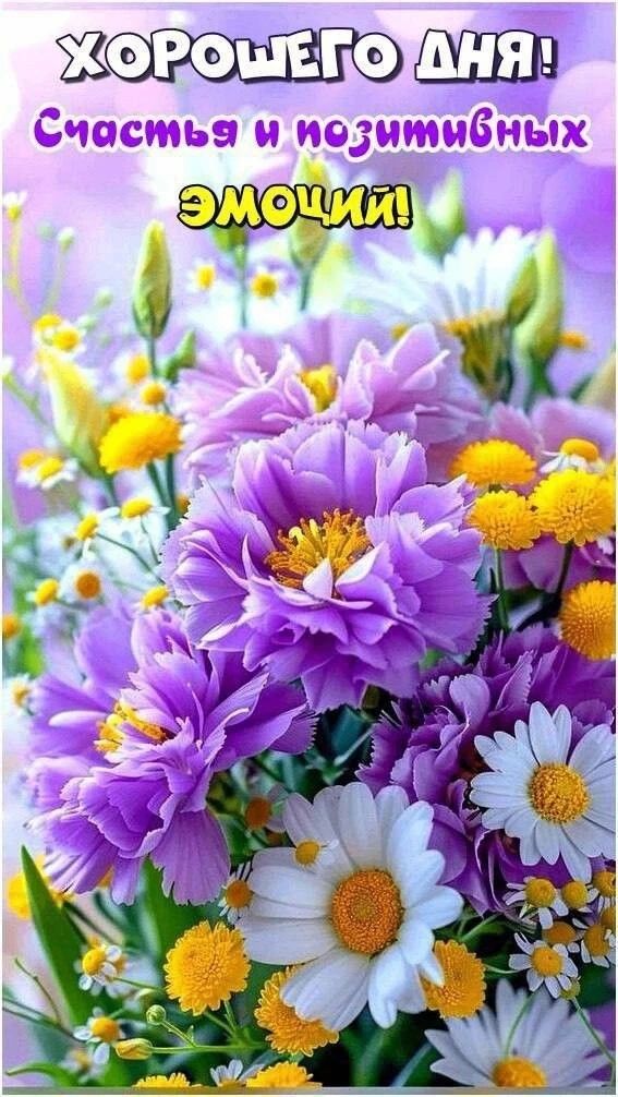 ХОРОШЕГО ДНЯ! Счастья и позитивных эмоций!