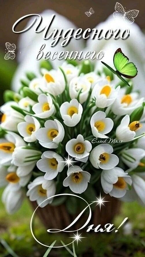 Чудесного весеннего Дня! С любовью