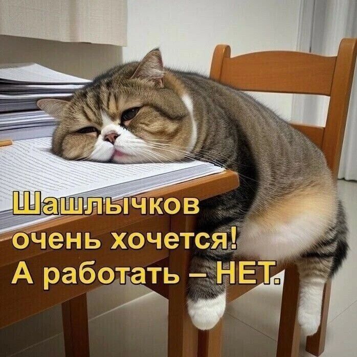 Шашлычков очень хочется! А работать — НЕТ.