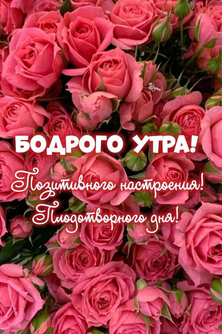 БОДРОГО УТРА! Позитивного настроения! Плодотворного дня!