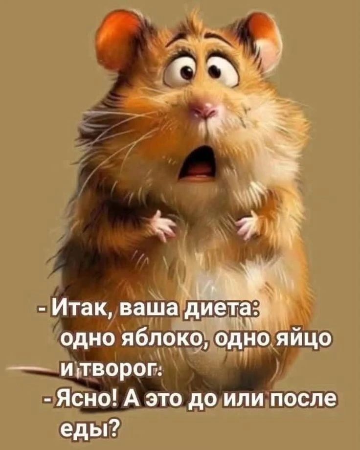- Итак, ваша диета: одно яблоко, одно яйцо и творог:
- Ясно! А это до или после еды?