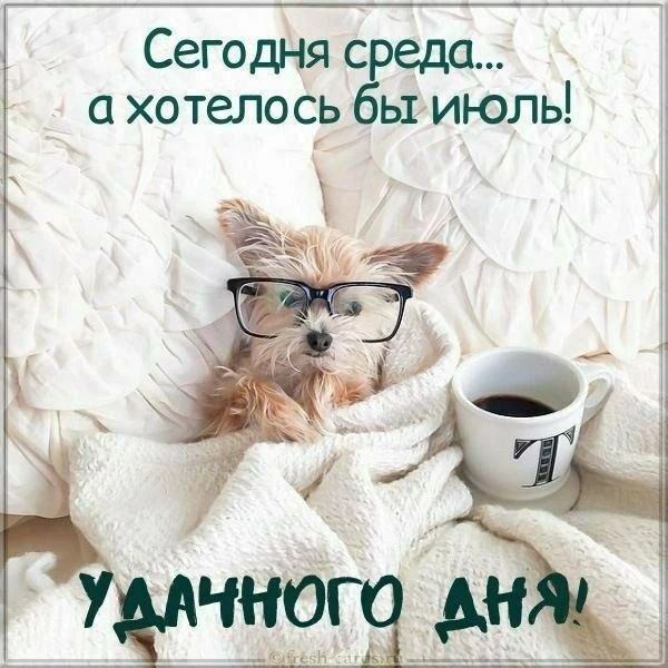 Сегодня среда... а хотелось бы июль! УДАЧНОГО ДНЯ!