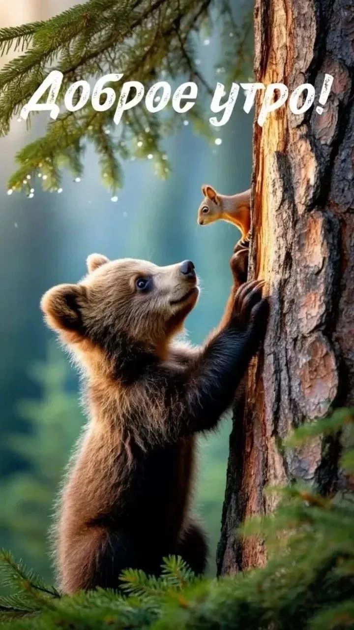 Доброе утро!
