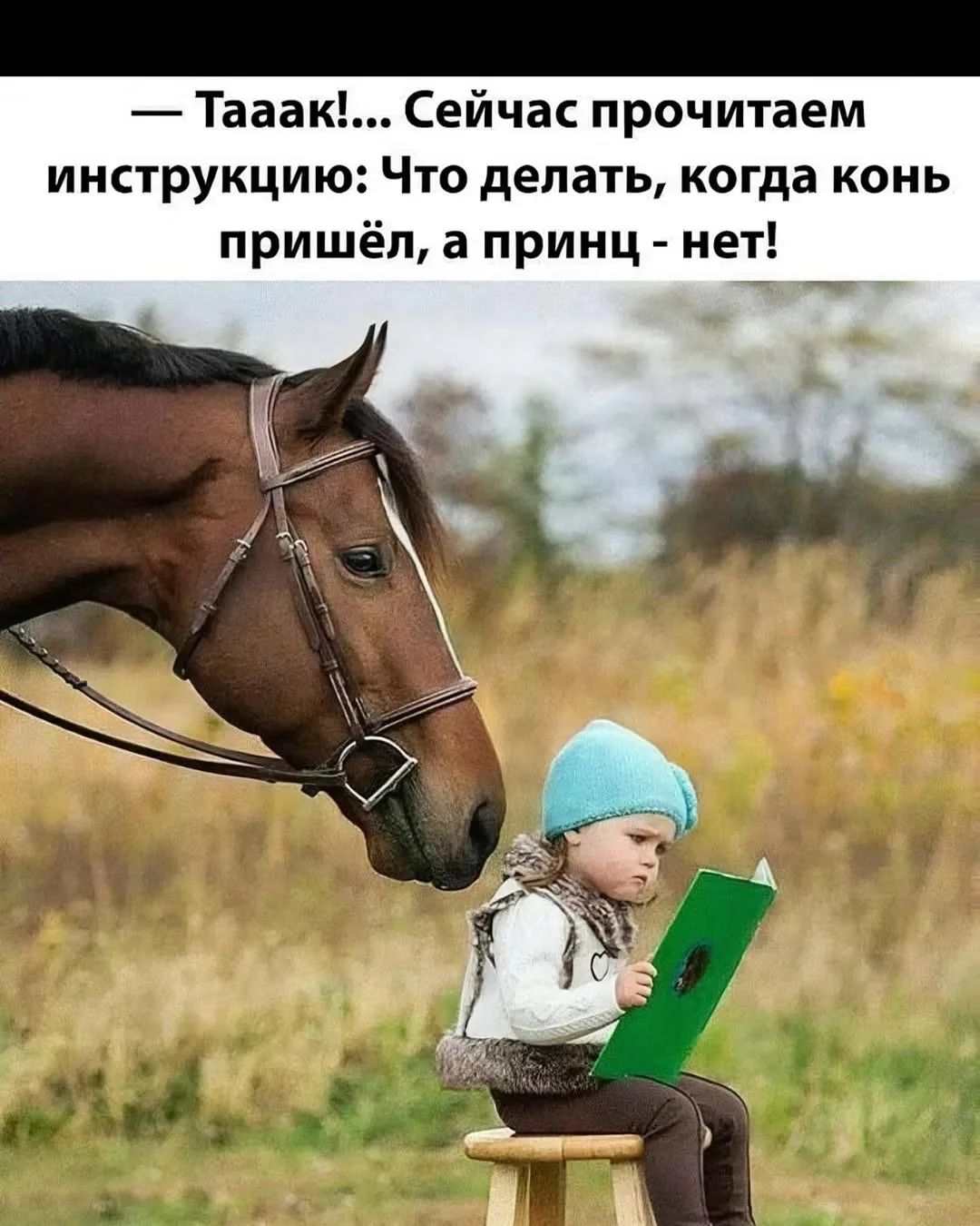 — Тааак!... Сейчас прочитаем инструкцию: Что делать, когда конь пришёл, а принц - нет!