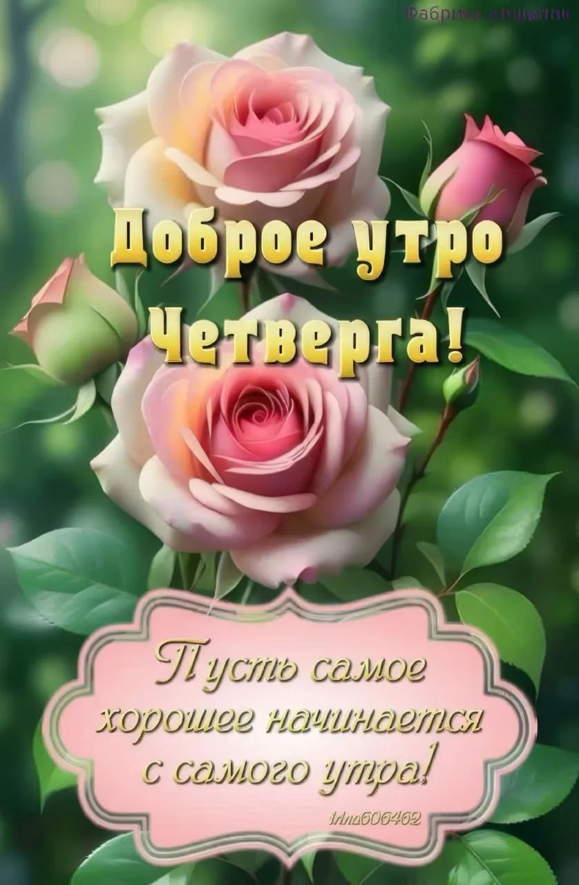 Доброе утро Четверга! Пусть самое хорошее начинается с самого утра!