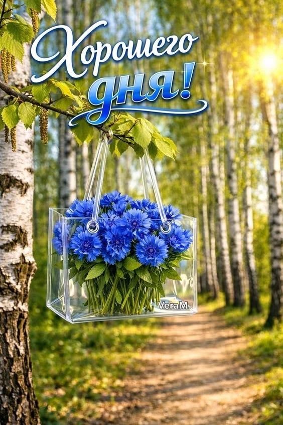 Хорошего дня! VeraM.