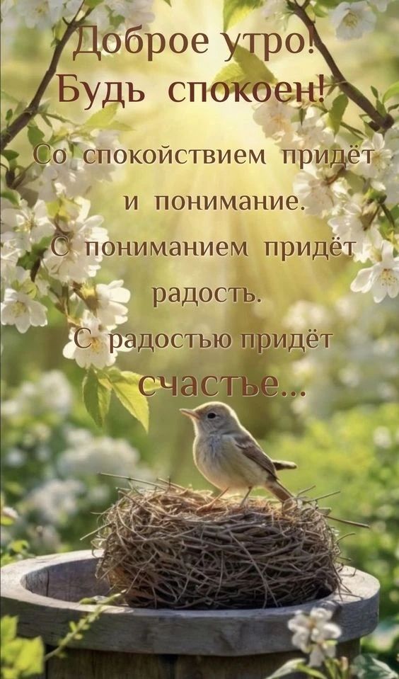 Доброе утро! Будь спокоен! Со спокойствием придет и понимание. С пониманием придет радость. С радостью придет счастье...