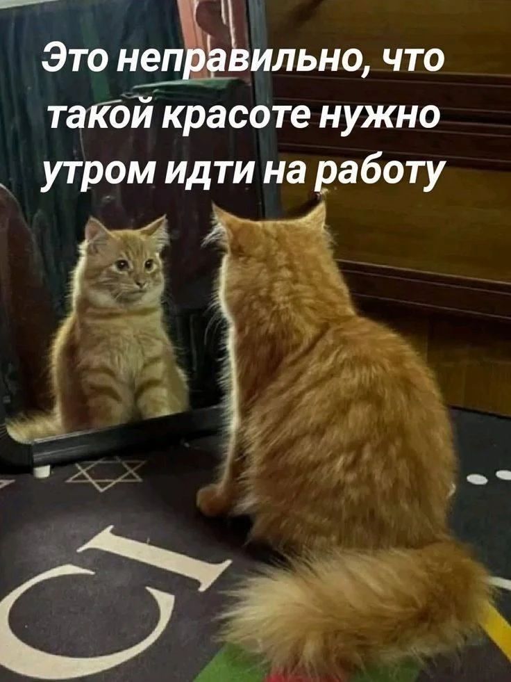 Это неправильно, что такой красоте нужно утром идти на работу