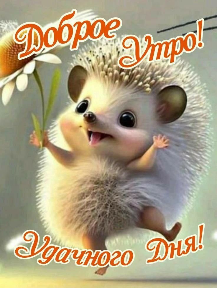 Доброе Утро! Удачного Дня!