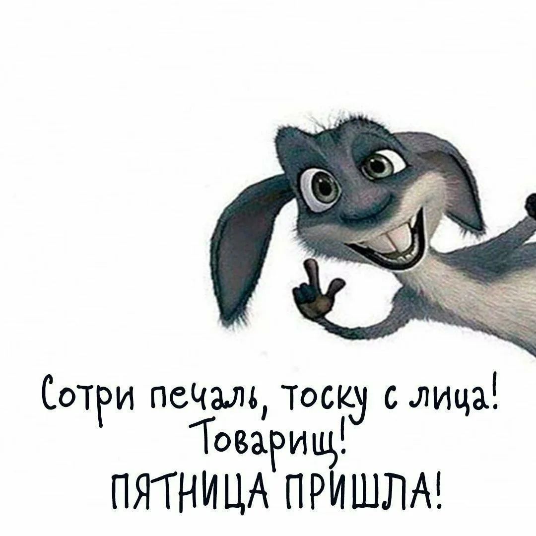 Сотри печаль, тоску с лица! Товарищ! Пятница пришла!
