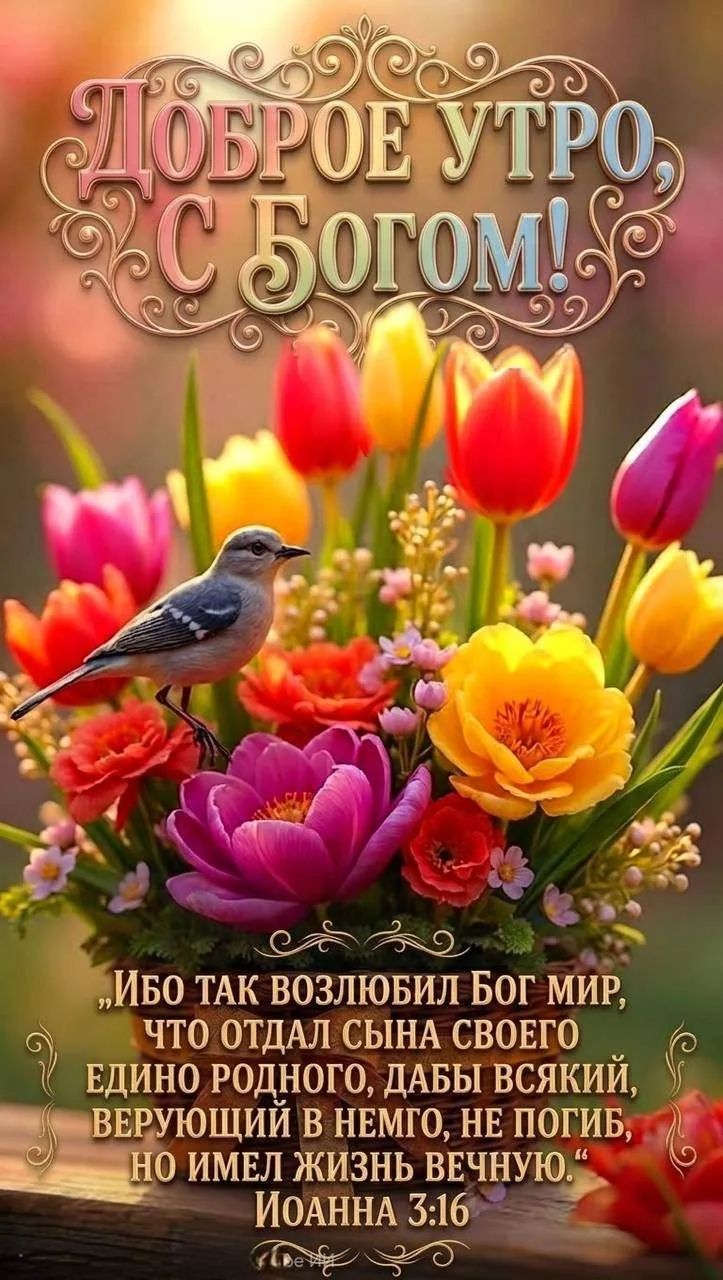 ДОБРОЕ УТРО, С БОГОМ! ИБО ТАК ВОЗЛЮБИЛ БОГ МИР, ЧТО ОТДАЛ СЫНА СВОЕГО ЕДИНО РОДНОГО, ДАБЫ ВСЯКИЙ, ВЕРУЮЩИЙ В НЕМГО, НЕ ПОГИБ, НО ИМЕЛ ЖИЗНЬ ВЕЧНУЮ. ИОАННА 3:16