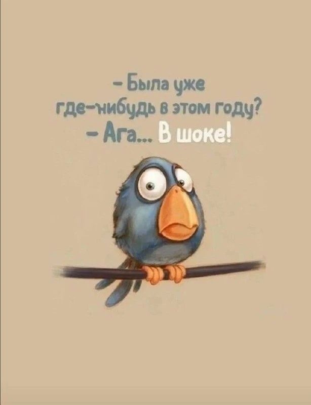 - Была уже где-нибудь в этом году?
- Ага... В шоке!